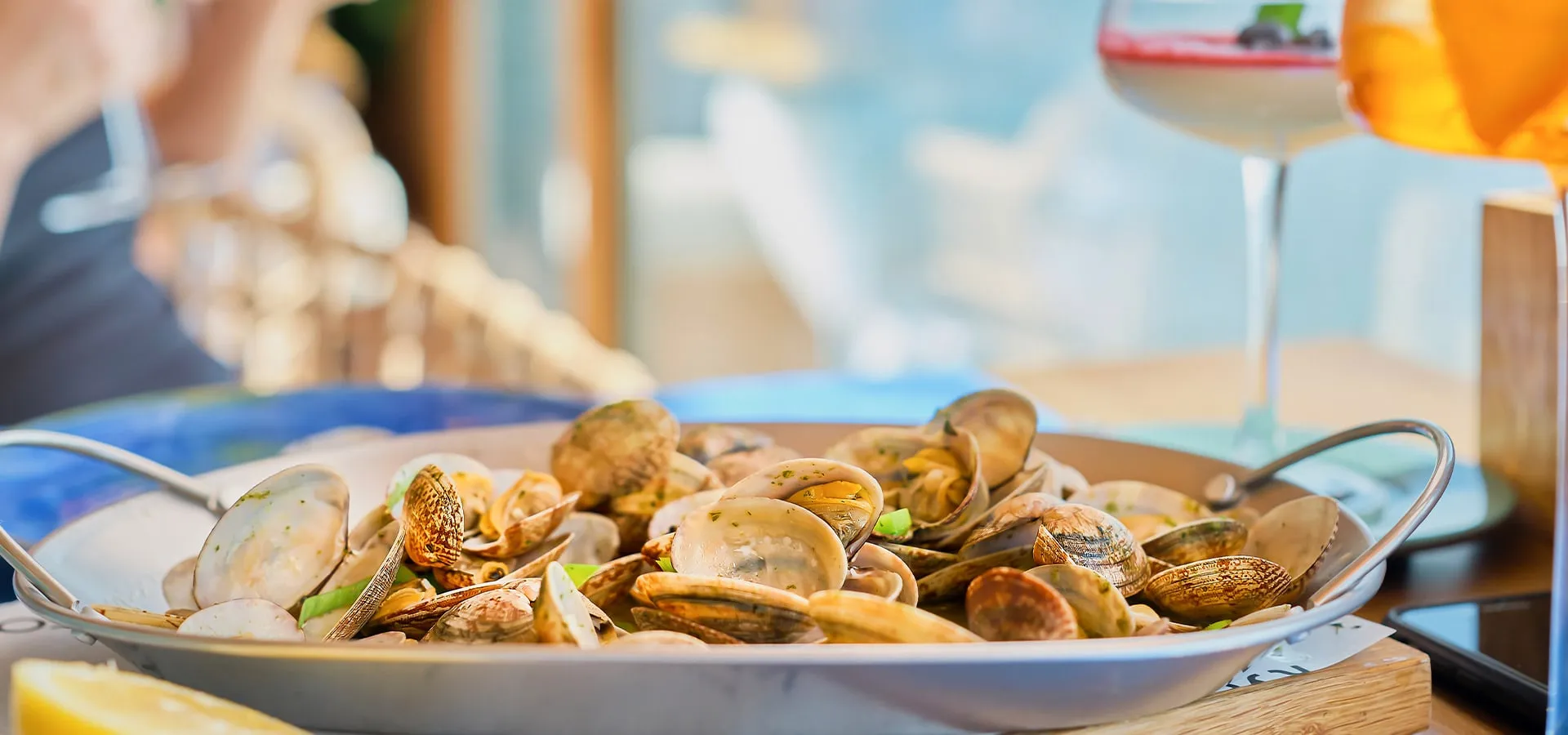 Schieberegler-Villa-Nin-Rovinj-Kroatien-007-min